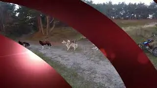 Kersttour in 100 seconden