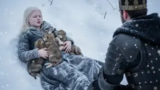 Albino Omega and Her 6 Pups Froze in the Snow… Until the Alpha King Arrived