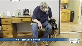 Wounded Warrior Service Dog Program funding cuts affect ND veterans, nonprofits