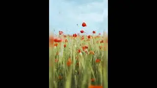 Relax with nature 8 Stress Free Meditation Through Visual Music Nature Dancing Flowers Scaral Chakra