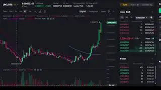 Live Uniswap Realtime Price and Price Action