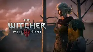 The Witcher 3: Wild Hunt 