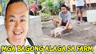 Mga bagong alaga sa farm ni @BrendaMageOfficial / MOMSHIE G