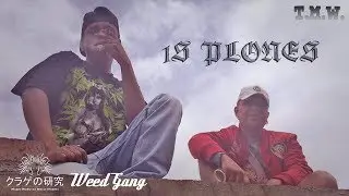 1S PLONES - Weed Gang (Prod by Medussa 24 Studios & TintoRec Prod.)  (V&Iacute;DEO OFICIAL)