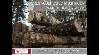 Forest Farming Specialty Mushroom Crops Webinar - 4/14/2020