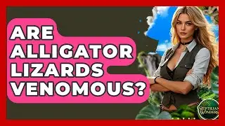 Are Alligator Lizards Venomous? - Reptilian Wonders