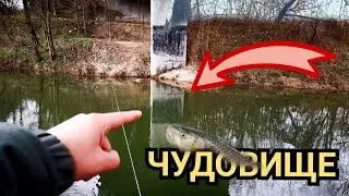 ХВАНАХ ОГРОМНА РИБА в МАЛКА РЕКИЧКА!