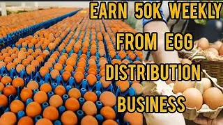 How To Start Profitable Egg Distribution Business in Nigeria 2025 | Business ideas | SuccessfultipsE