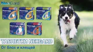 Таблетки NexGard Spectra от блох и клещей для собак