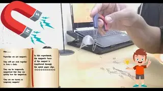 Simple Experiments: Magnet Bars, Horseshoe Magnet and Paper Clips