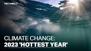 Scientists say 2023 on track to be the hottest year on record