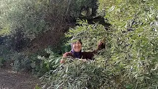 حياة البادية وجمالها الخلاب😍حياة طبيعية وعيشة هنية وسعادة وراحة بال😍