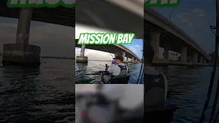 Caught this fish under the Ingraham Bridge #kayakfishing #nativewatercraft #fishing #fish #sandiego