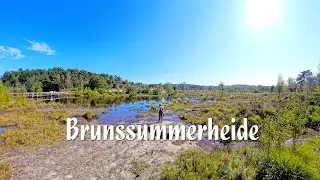 Walk around the Brunssummerheide - 2024