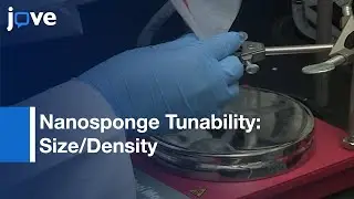 Nanosponge Tunability In Size & Crosslinking Density-Preview