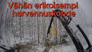 Hybridi haavikon harvennusta Prosilva S3 & Kesla 19