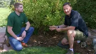 How to install a spray to drip sprinkler conversion kit