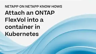 How to attach an ONTAP FlexVol into a container in Kubernetes