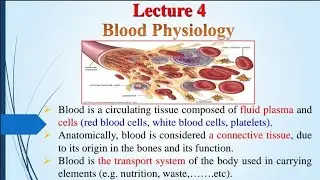 physiology of blood