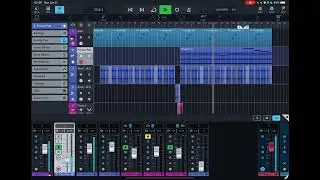 jungle experiments