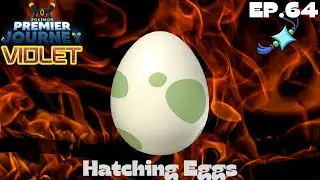Hatching Eggs - Pokemon: Premier Journey - Violet - Ep.64