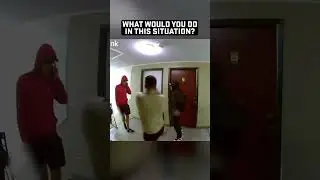 An armed Venezuelan gang has taken over your apartment complex ... What would you do?