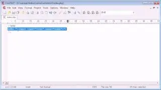 Beginner PHP Tutorial - 11 - Output HTML Using echo/print