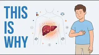 Fatty Liver & Elevated Liver Enzymes - 7 Common Causes Explained