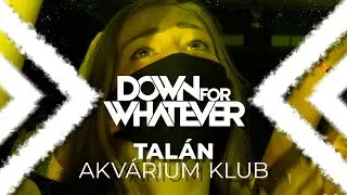 DOWN FOR WHATEVER - Tal&aacute;n (Akv&aacute;rium LIVE 2020)