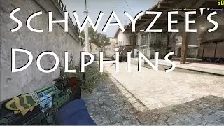 Schwayzee's Dolphins - Player Montage No.2