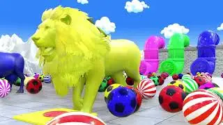 Long Slide Game With Elephant Gorilla Buffalo Hippopotamus Tiger - 3d Animal Game - Funny 3d Animals