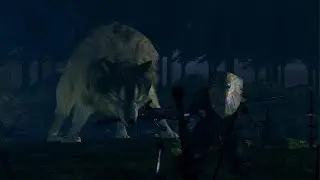 Dark Souls Remastered Part 24 - Great Grey Wolf Sif