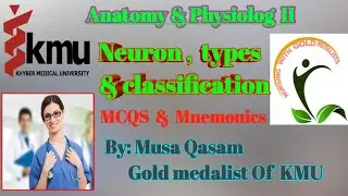 Neuron , Types and Classification lecture 3 //# Nervous System #KMUexam preparation