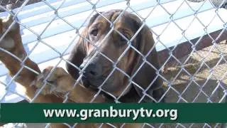 Granbury TV Promo