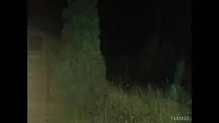 Emil-wypisz wymaluj