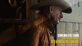 Cinematic Look
