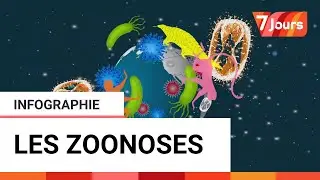 Pourquoi surveillons-nous les zoonoses ?
