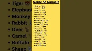 Animal Names for Kids 🐶🐘 | English with Hindi