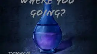 Where You Going? TyMoneyTalk$ (Prod:RellyMade & DoloMane)