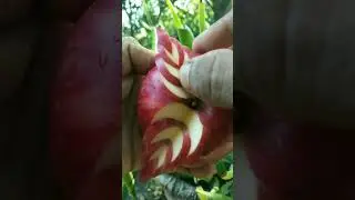 Apple Fruits cutting hack India 🍎🍎#shorts #viral #ytshorts #cutting