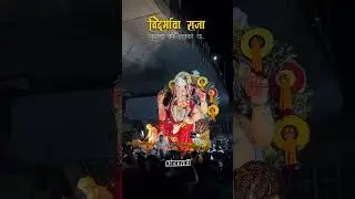 Vidarbhacha Raja🙇🏻 |2024 |#amravati #aaba #vidarbha #vidarbhachibhasha#varhadimemes #akola