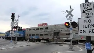 13 Mechanical Bells???  The Most Insane Crossing I've Filmed