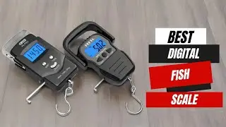 Top 5 Best Digital Fish Scales for Accurate Weighing | Must-Have Tools for Anglers!