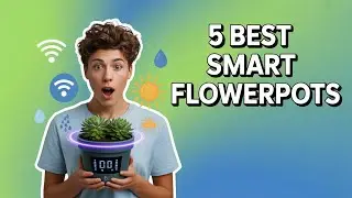 5 Best Smart Flowerpots