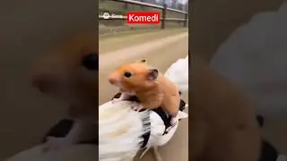 komedi tufanı#mcdonalds #komedi #memes