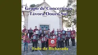 A Tua Saia, Ó Ana
