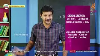 KITE VICTERS STD 09 Biology Class 26 (First Bell-ഫസ്റ്റ് ബെല്‍)