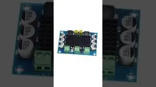 TPA3116 DC 12V 24V 100W Mono Channel Digital Power Amplifier Board-TPA3116D2 Large Capacity Board🎵