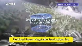 Fluidized Frozen Vegetable Production Line