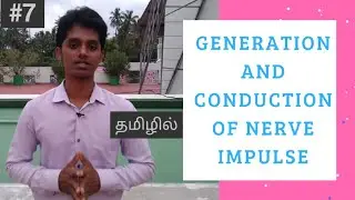 #8 Generation and Conduction of Nerve Impulse in தமிழ் || Pharmacology Lesson | Action Potential
